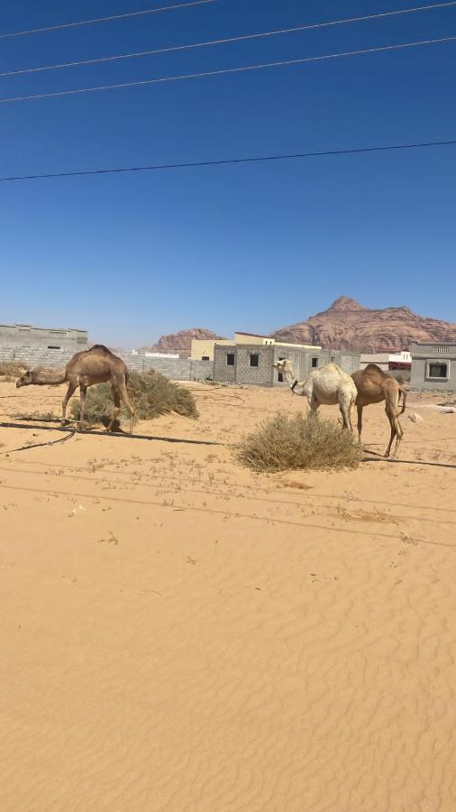 Wadi Rum Albasli Экстерьер фото
