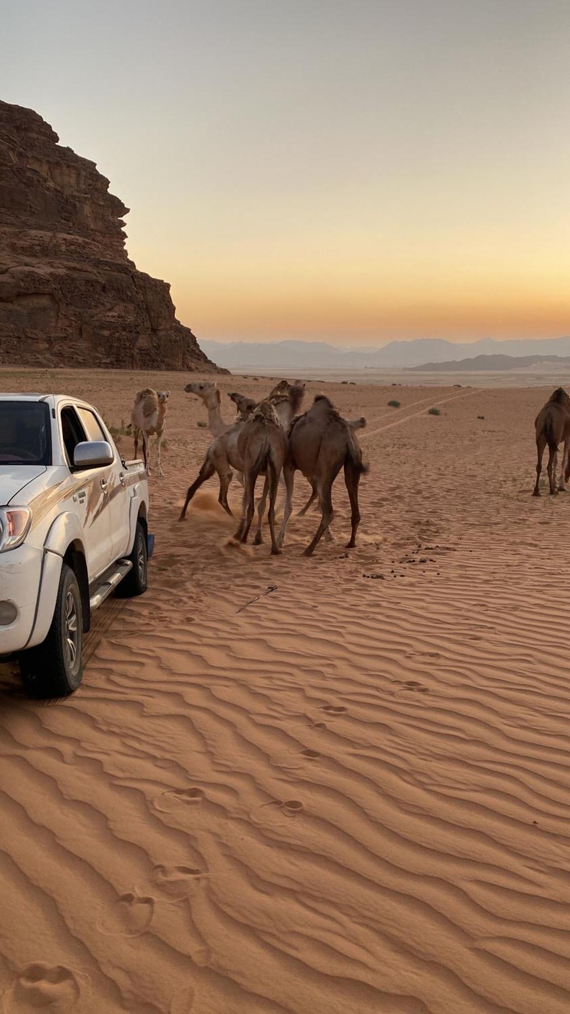 Wadi Rum Albasli Экстерьер фото