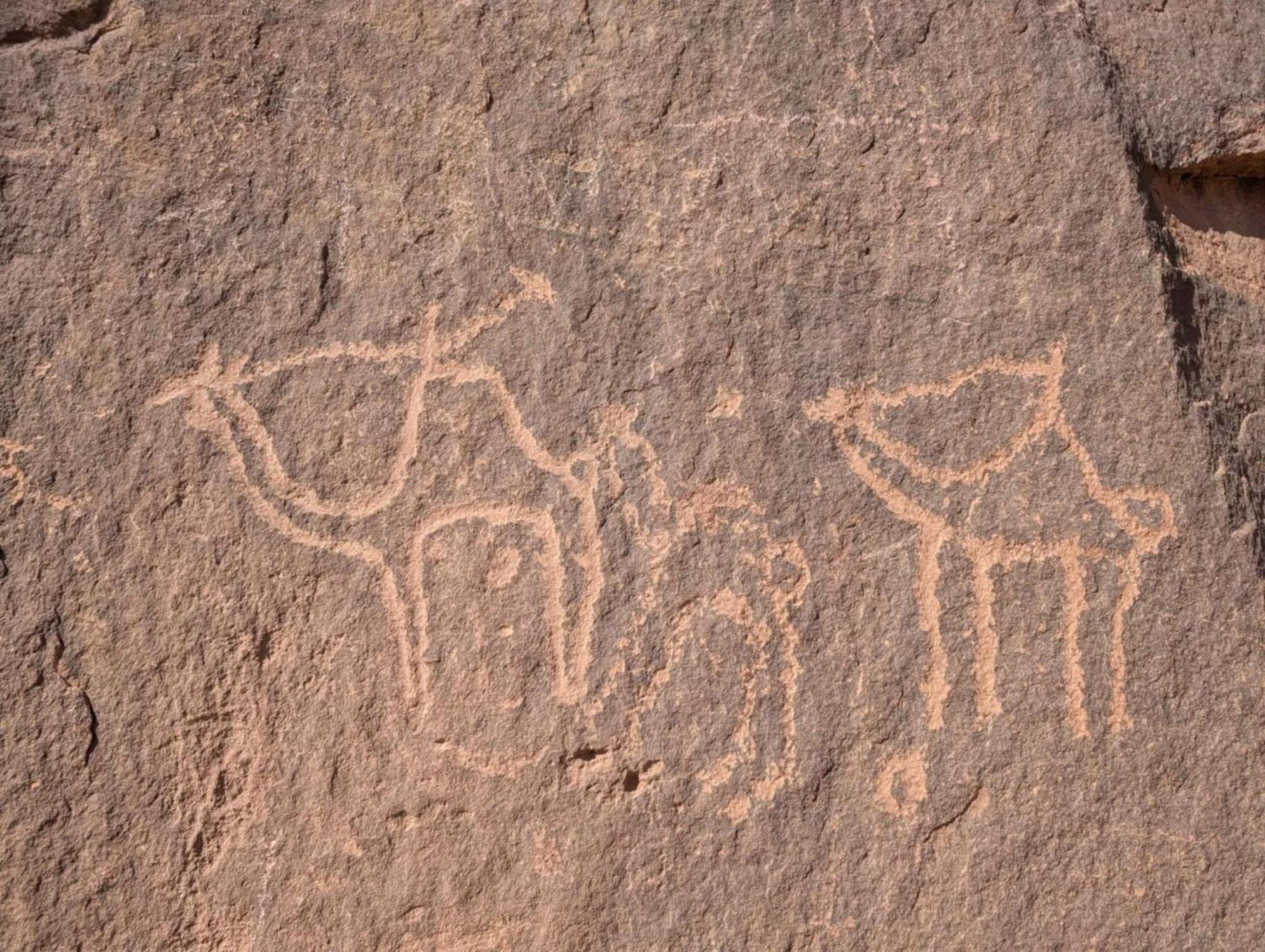 Wadi Rum Albasli Экстерьер фото