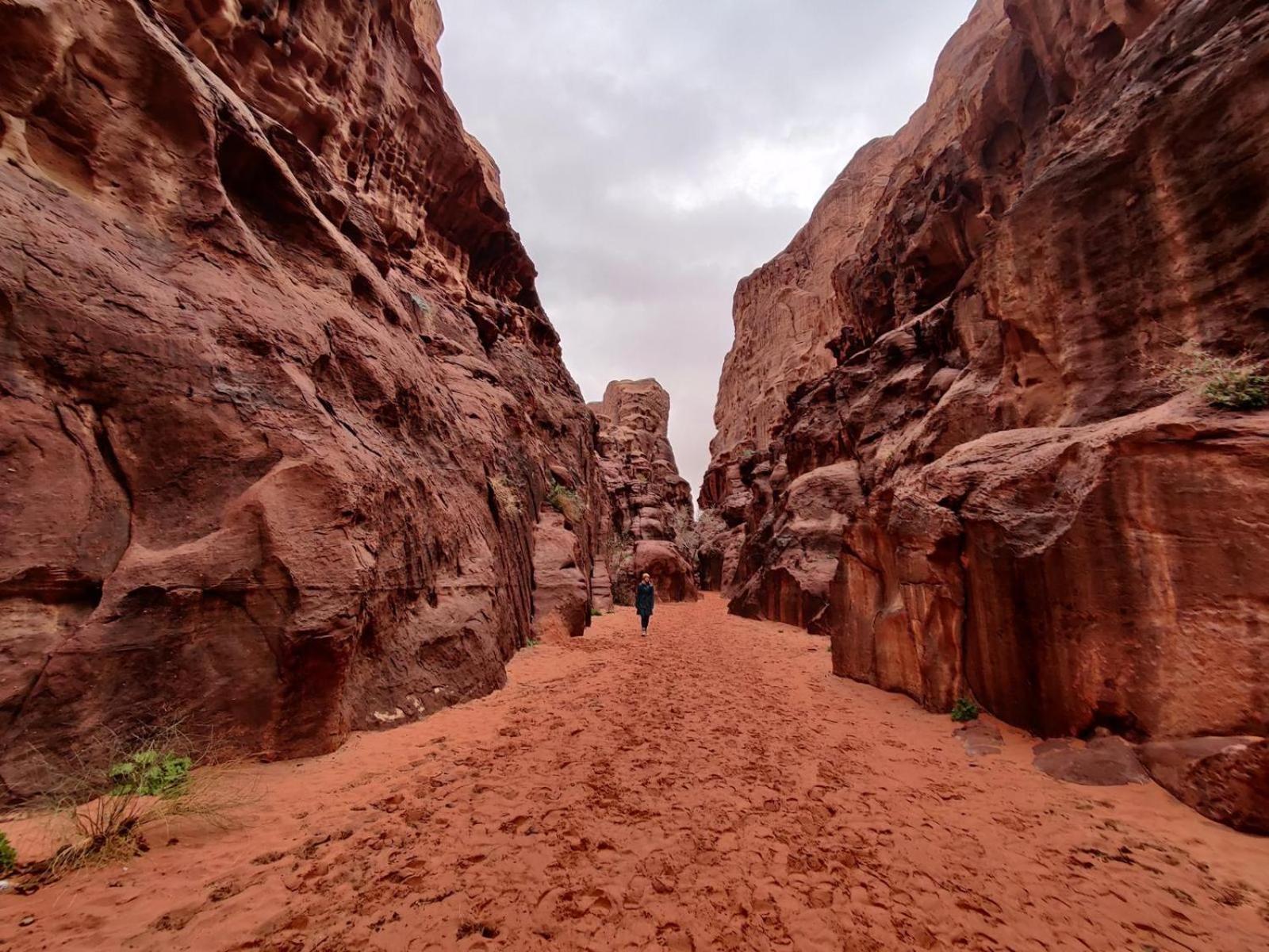 Wadi Rum Albasli Экстерьер фото